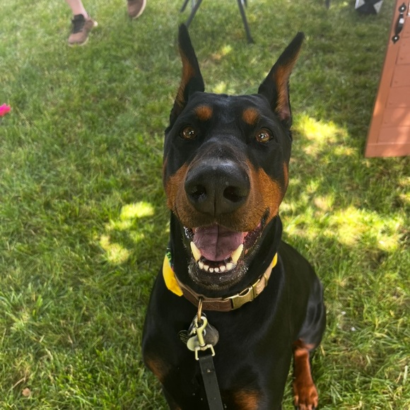 dobiemomdee